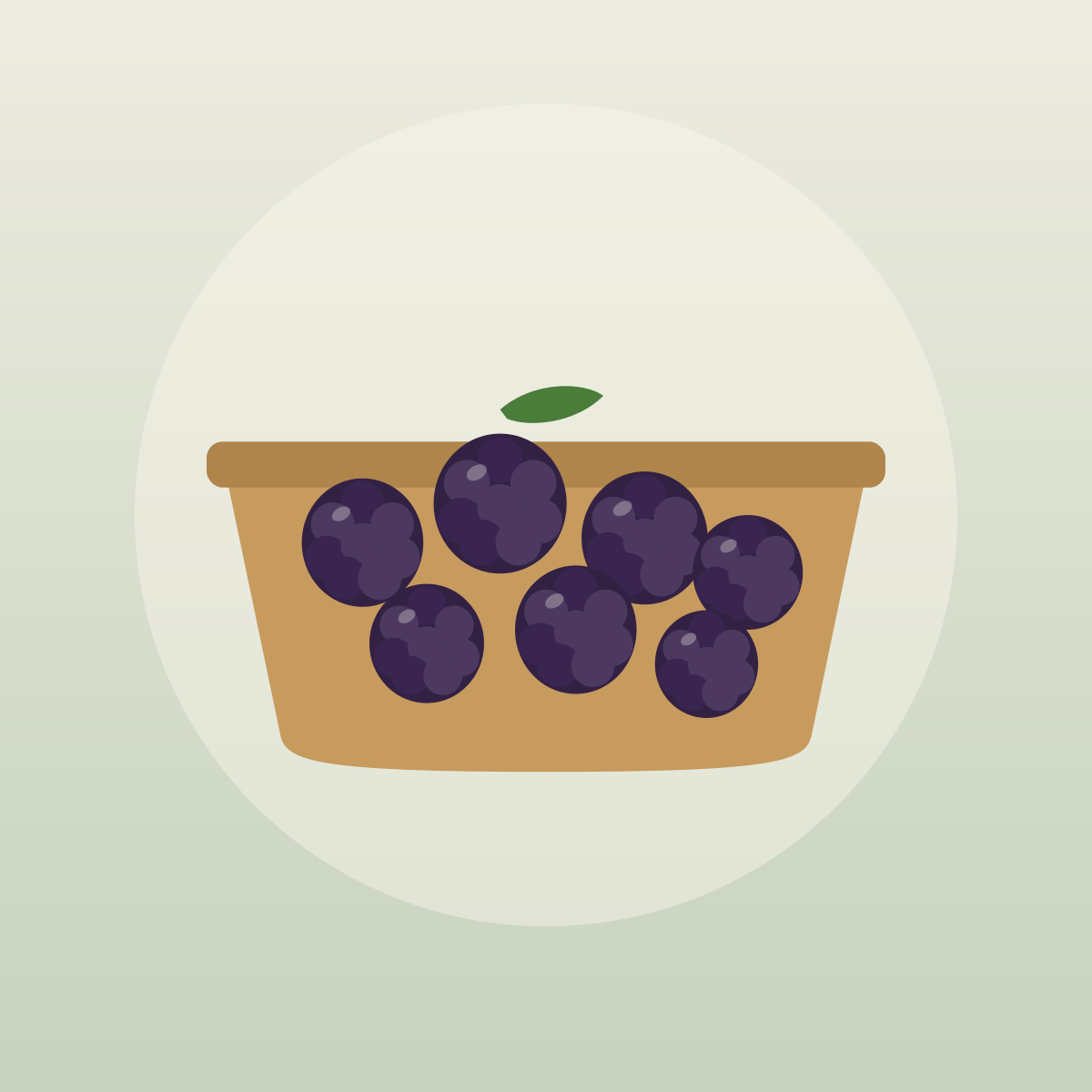 Marionberries