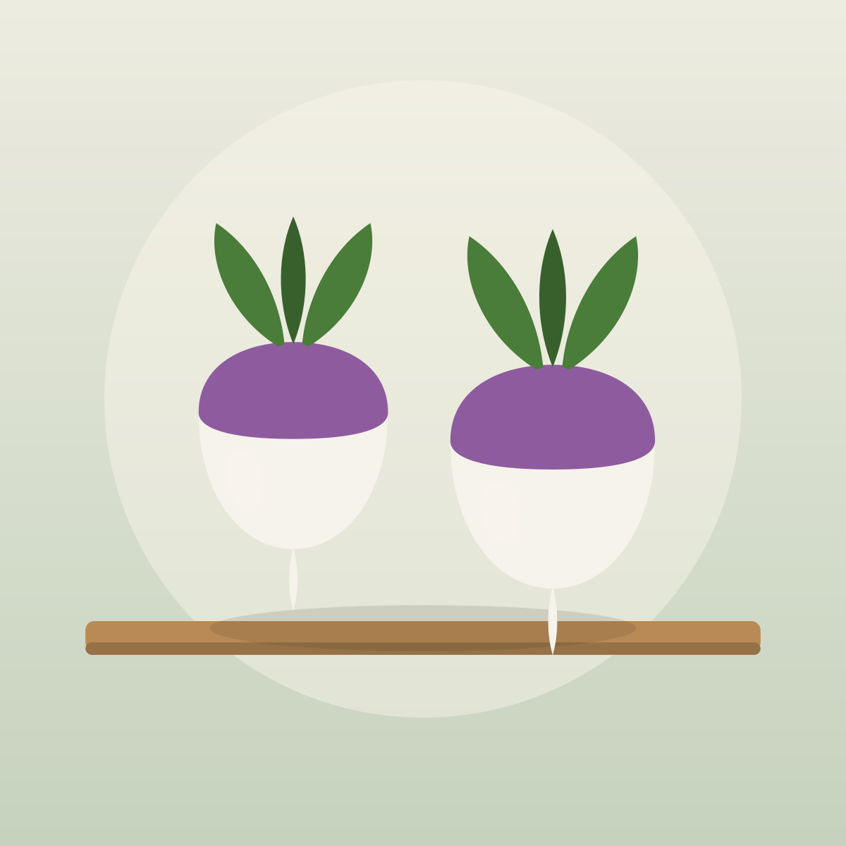 Purple Top Turnips