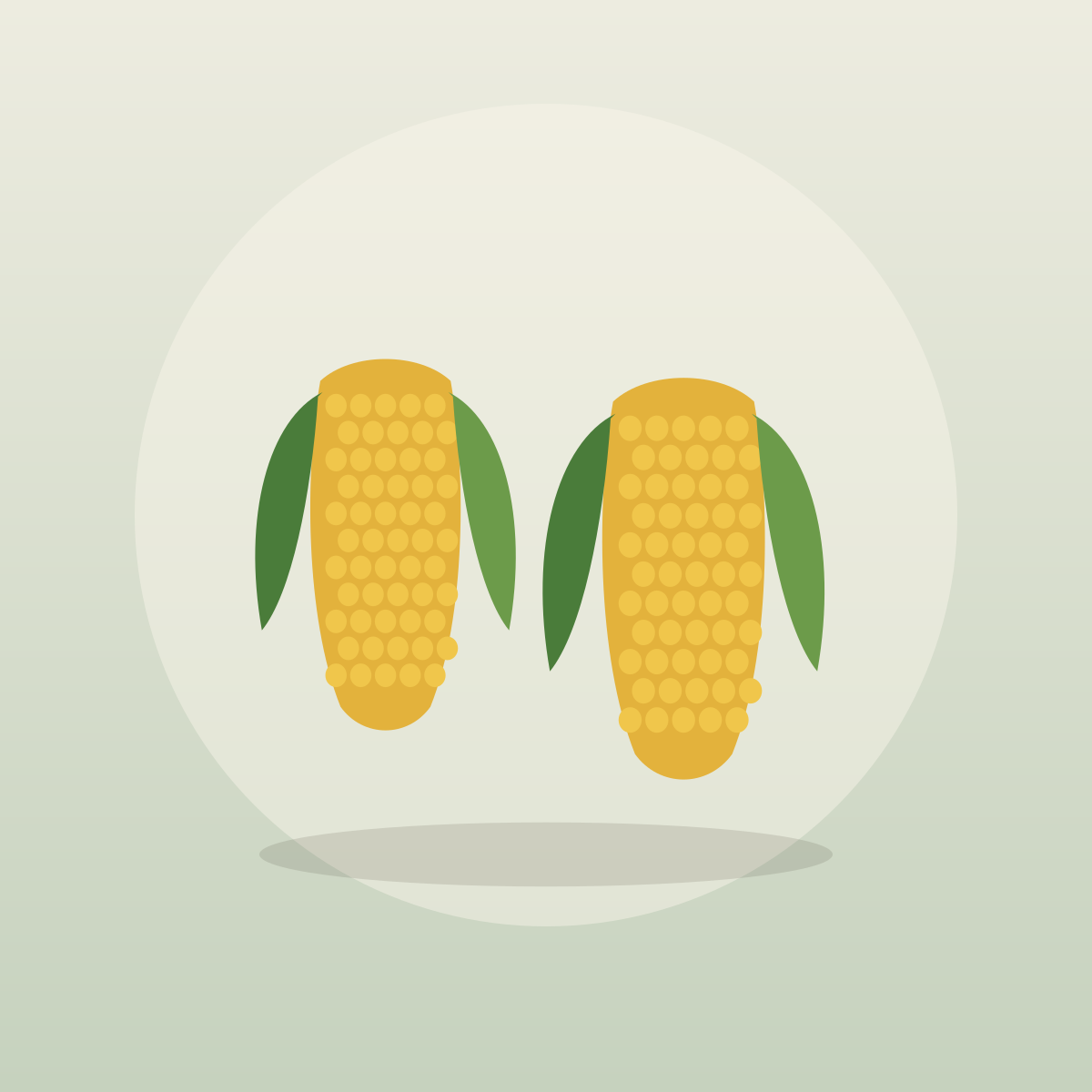 Sweet Corn